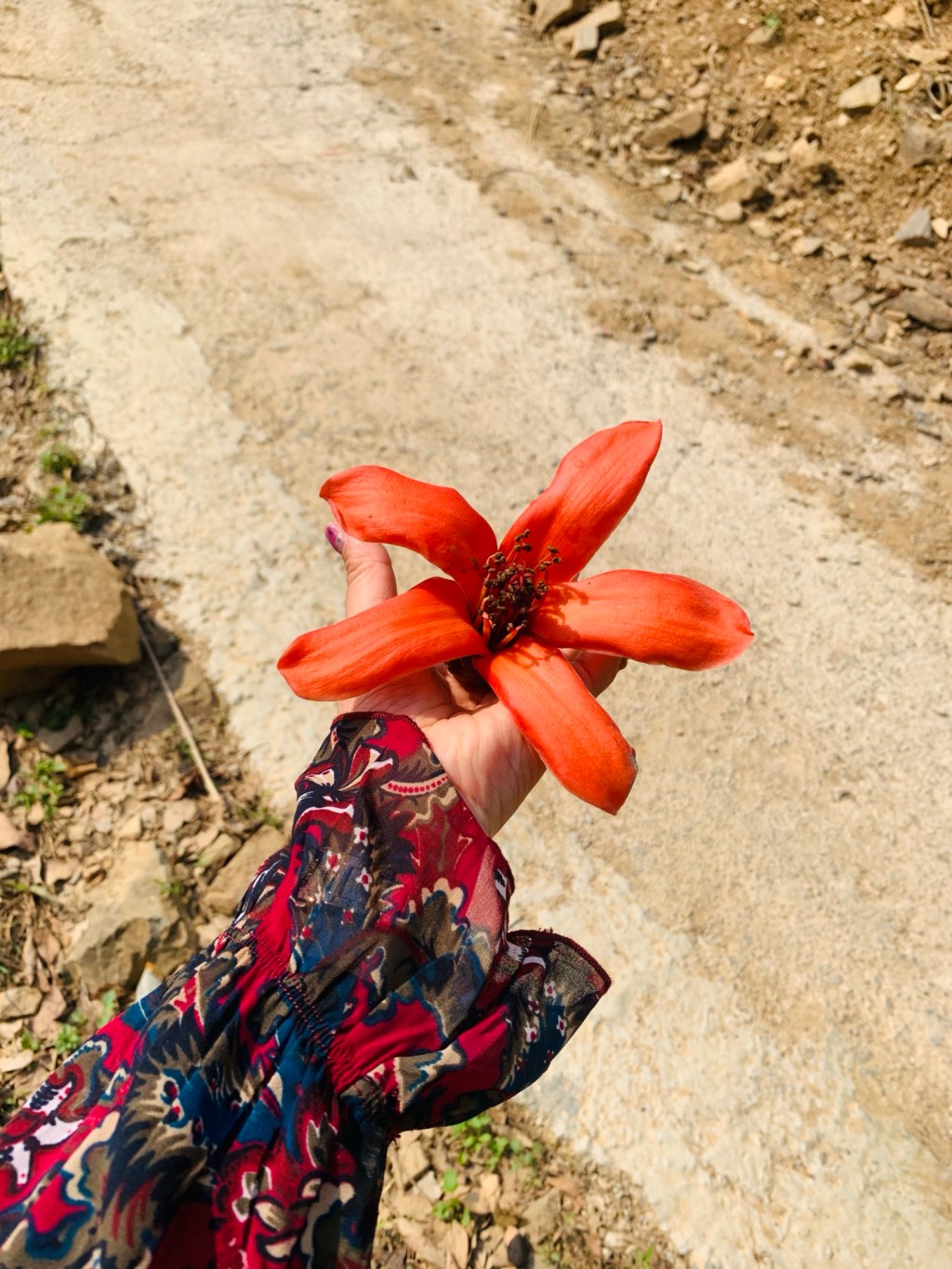 Niềm tin giới&nbsp;hạn