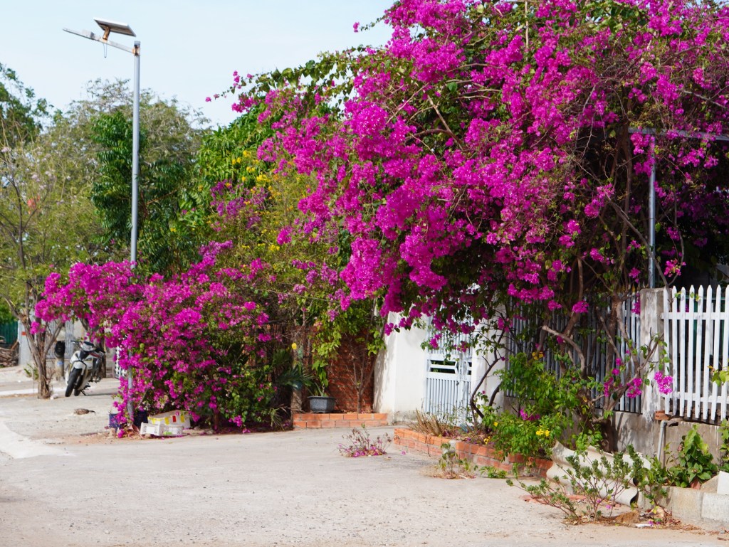 Muốn đi du học khi đang học đại học dang dở, phải làm&nbsp;sao?