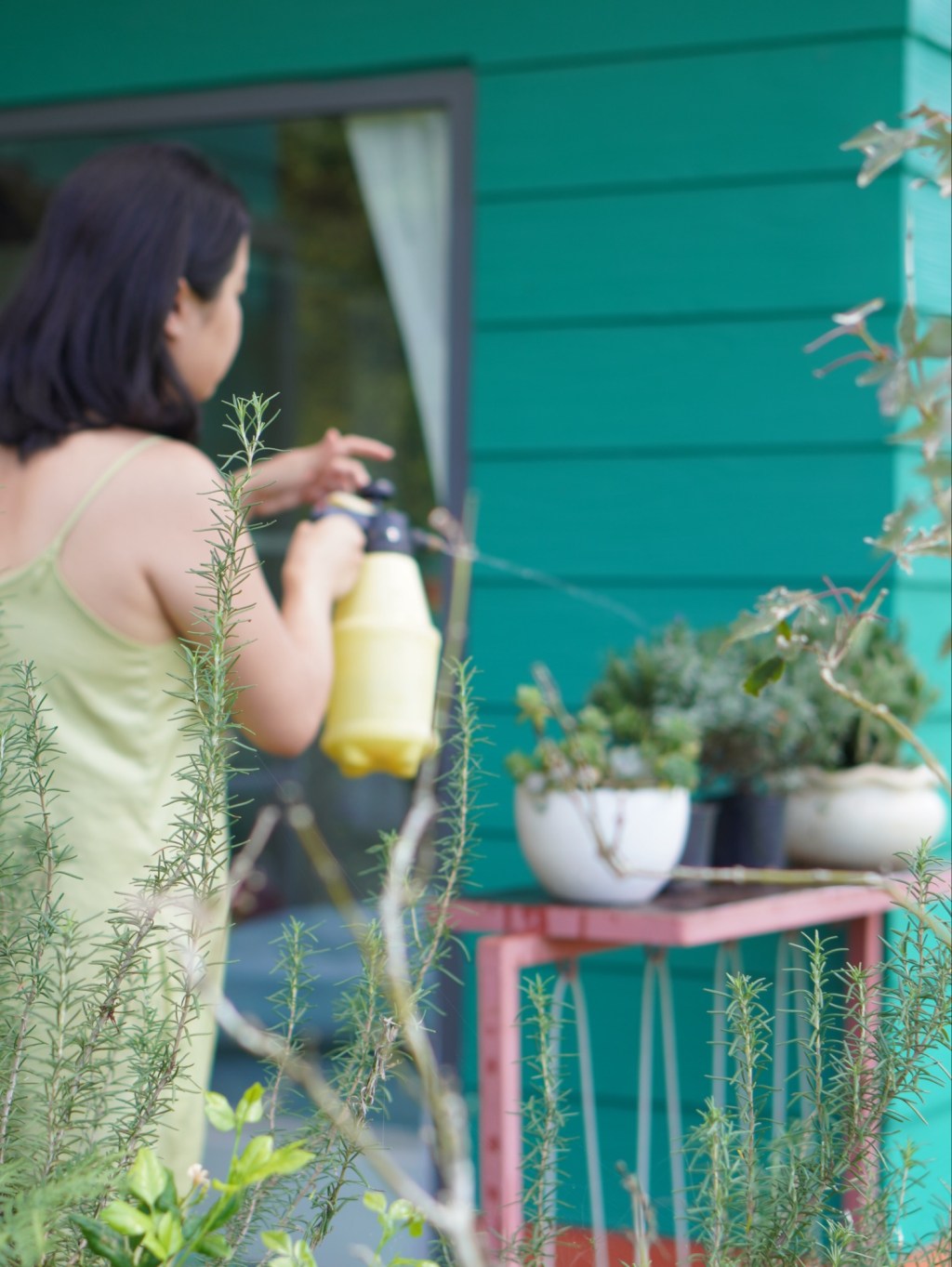 🌲 Nhà An Lâm Hà – Điểm Dừng Chân Yên Tĩnh Gần Đà Lạt&nbsp;🌲