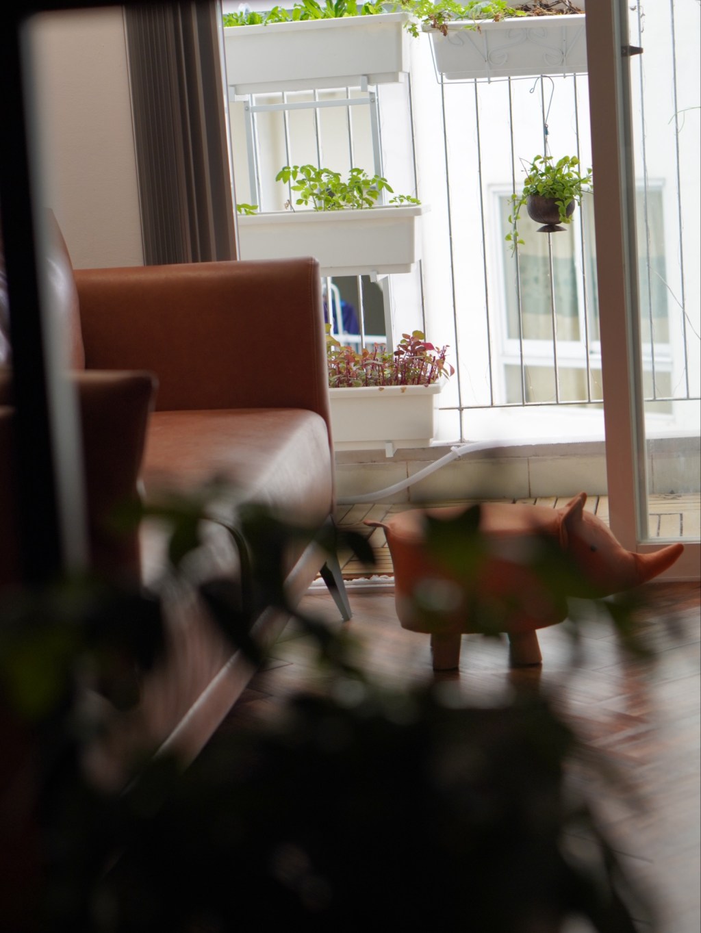 Những câu hỏi khách thường gặp khi tìm hiểu về Daisy&nbsp;Home